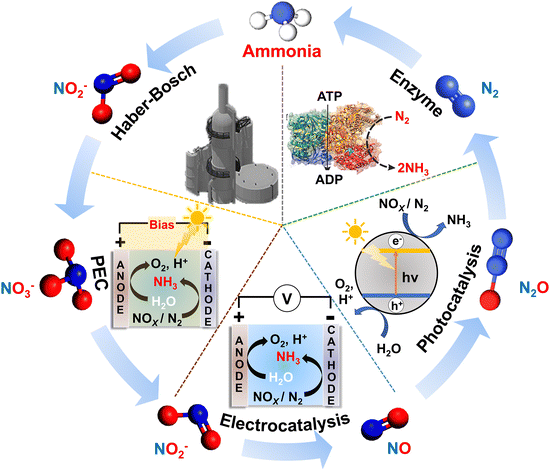 image file: d4cs00025k-f2.tif