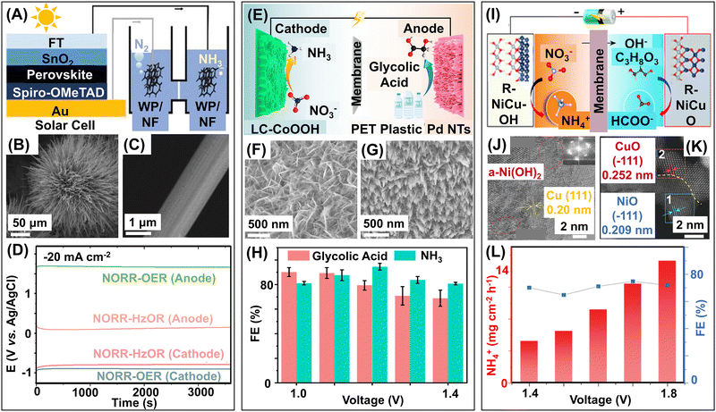 image file: d4cs00025k-f23.tif