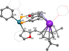 image file: d4cs00466c-f1.tif