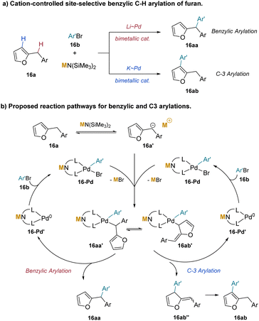 image file: d4cs00466c-s21.tif