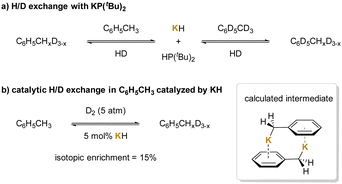 image file: d4cs00466c-s25.tif