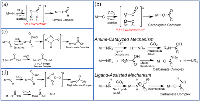 Behavior, mechanisms, and applications of low-concentration CO 2
