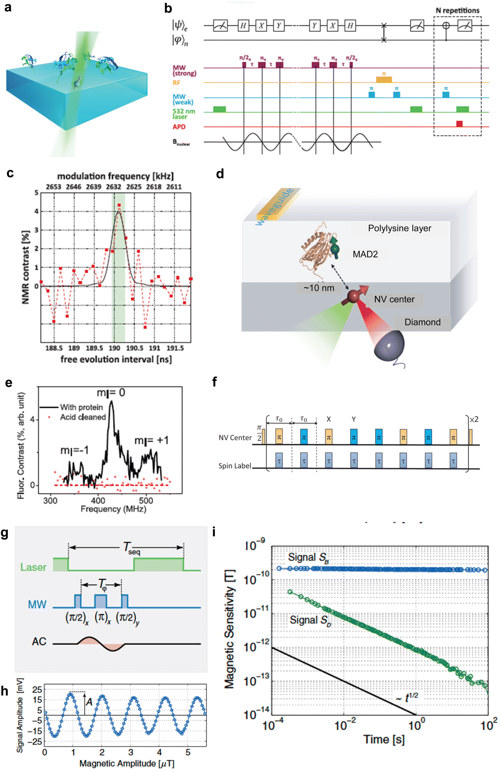 Quantum life science: biological nano quantum sensors Quantum life science: biological nano quantum sensors