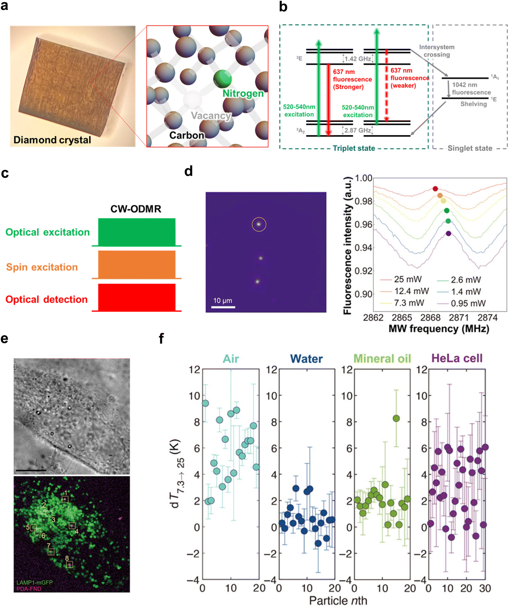 Quantum life science: biological nano quantum sensors Quantum life science: biological nano quantum sensors