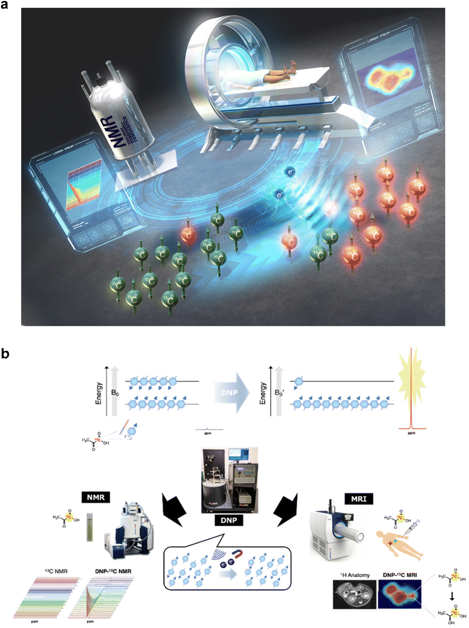Quantum life science: biological nano quantum sensors Quantum life science: biological nano quantum sensors