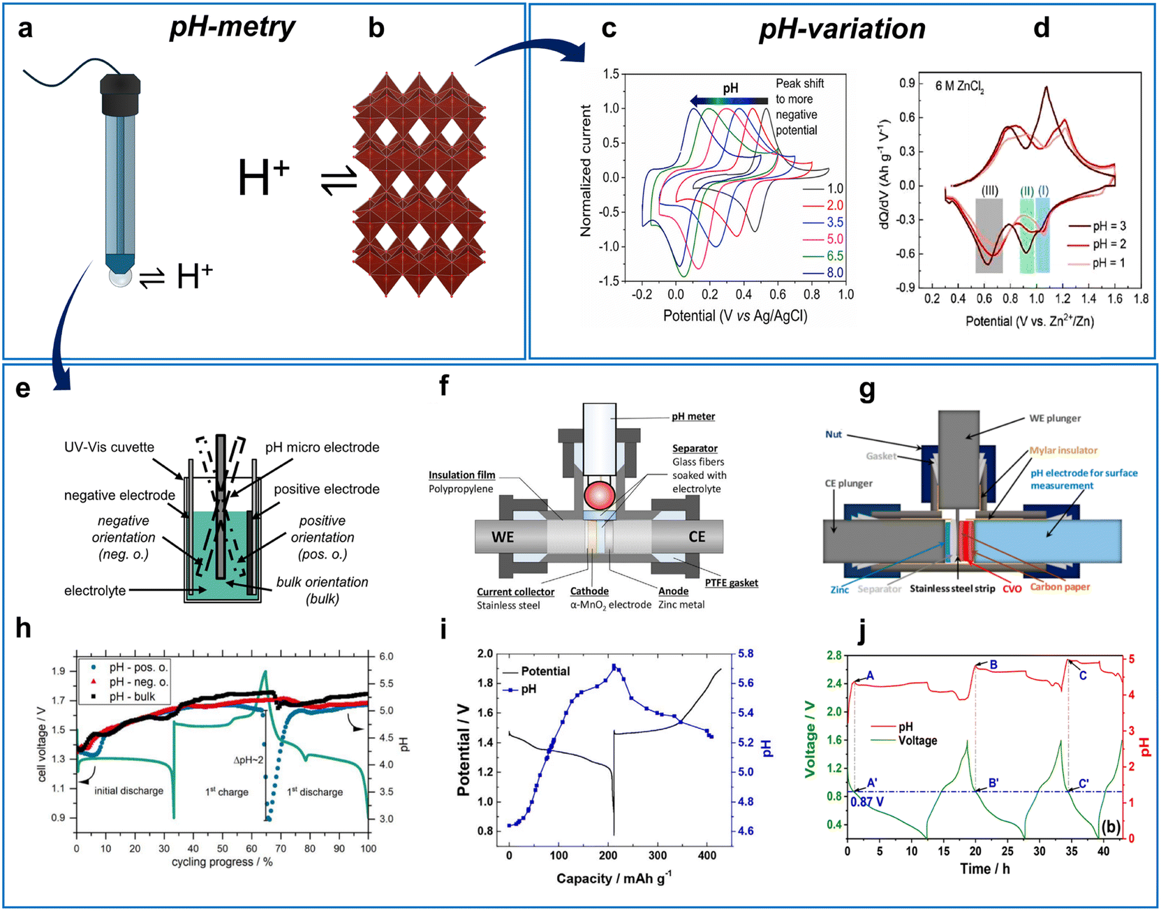 Gains and losses in zinc-ion batteries by proton- and water