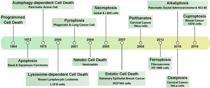 image file: d4cs00930d-f1.tif