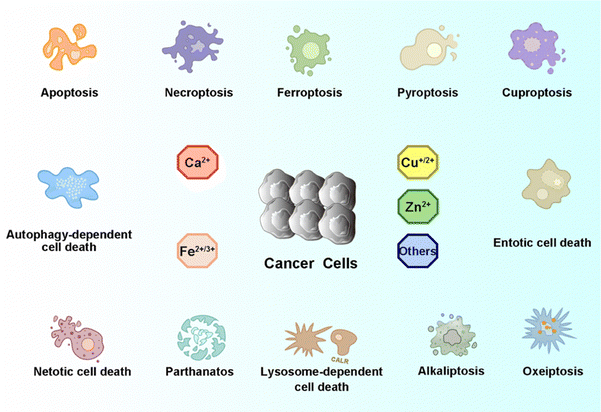 image file: d4cs00930d-f2.tif