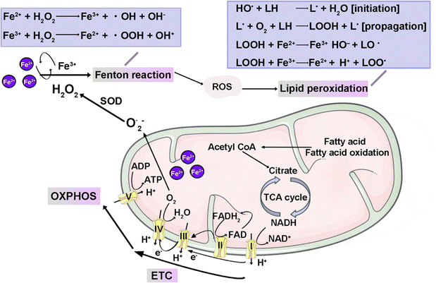 image file: d4cs00930d-f4.tif