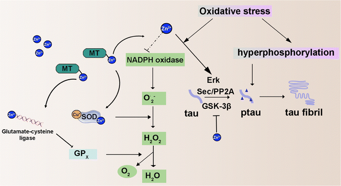 image file: d4cs00930d-f6.tif