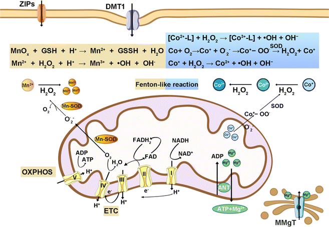 image file: d4cs00930d-f7.tif