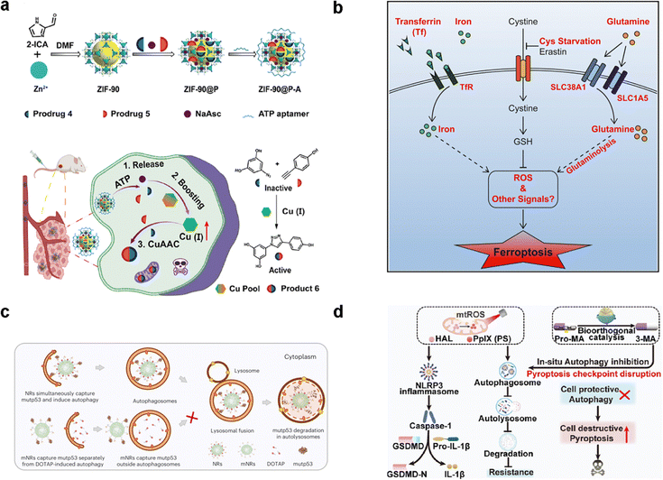 image file: d4cs00930d-f8.tif