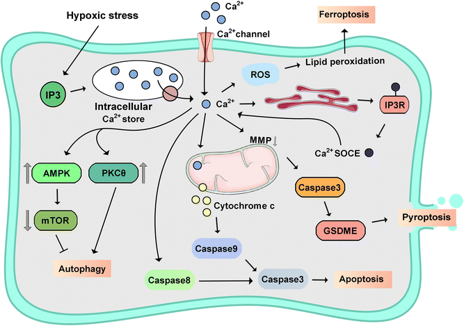 image file: d4cs00930d-f9.tif