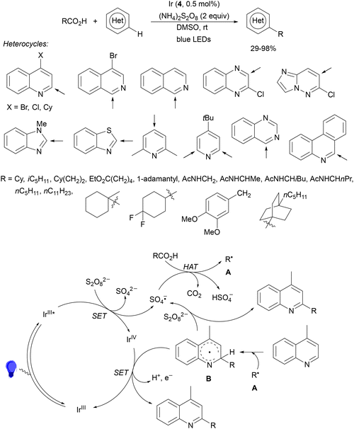 image file: d4cs01051e-s155.tif
