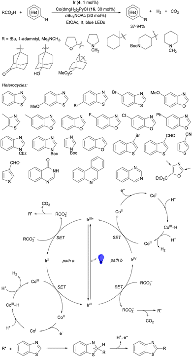 image file: d4cs01051e-s157.tif