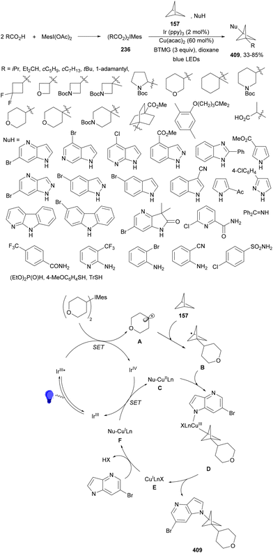 image file: d4cs01051e-s183.tif