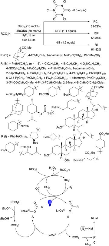 image file: d4cs01051e-s200.tif