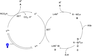 image file: d4cs01051e-s81.tif