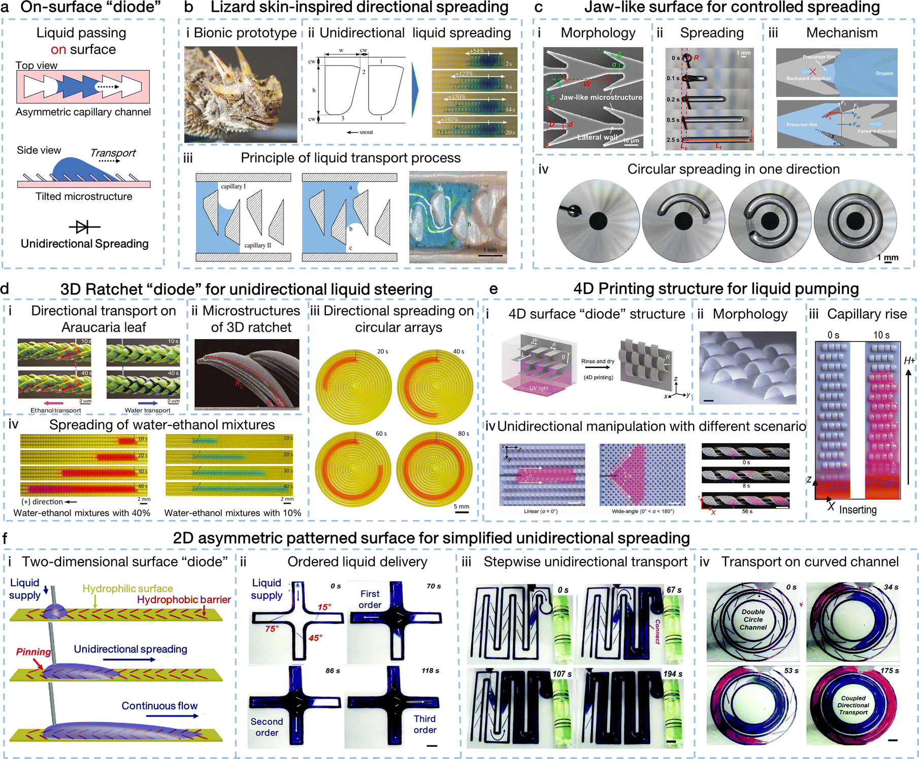 Interfacial fluid manipulation with bioinspired strategies