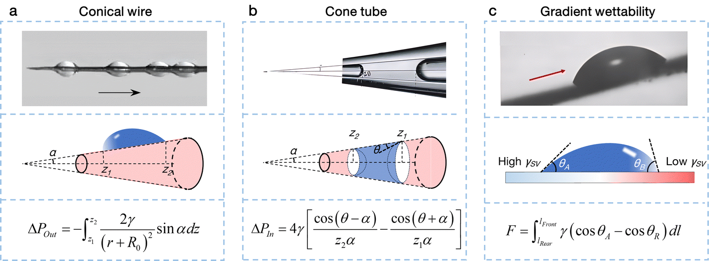 コサイン山田 Interfacial fluid manipulation with bioinspired strategies