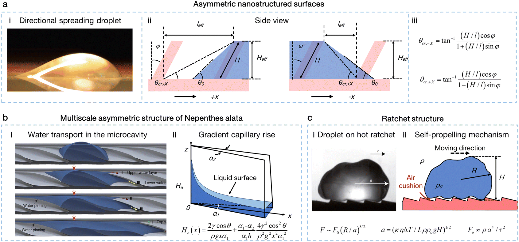 Interfacial fluid manipulation with bioinspired strategies