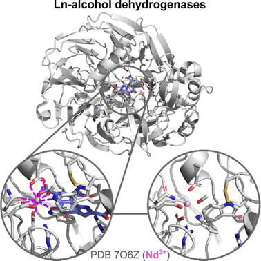 image file: d4cs01148a-f11.tif