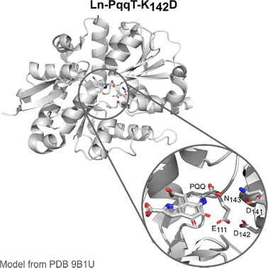 image file: d4cs01148a-f13.tif