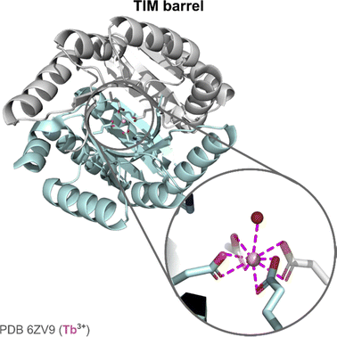 image file: d4cs01148a-f14.tif