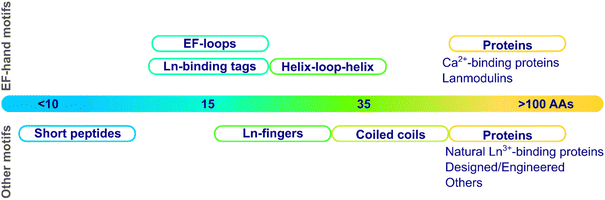 image file: d4cs01148a-f2.tif