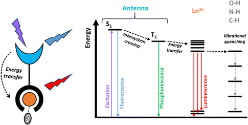 image file: d4cs01148a-f21.tif