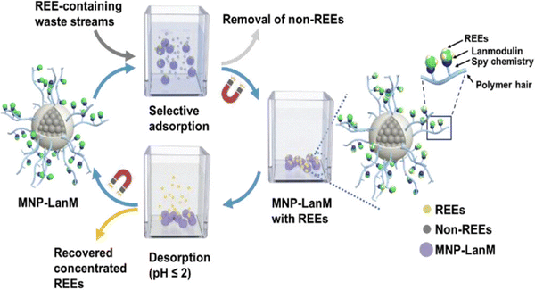 image file: d4cs01148a-f27.tif