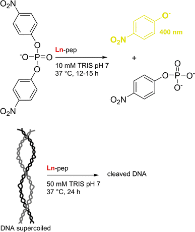 image file: d4cs01148a-f28.tif