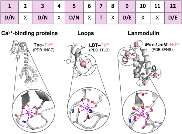 image file: d4cs01148a-f4.tif
