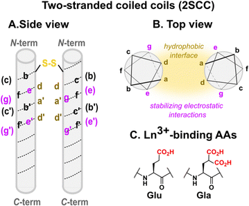 image file: d4cs01148a-f6.tif