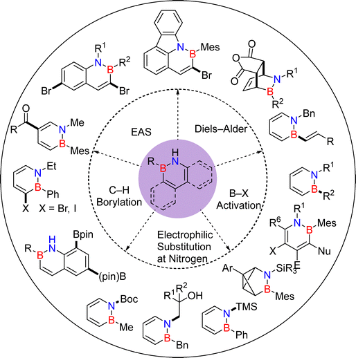 BN-embedded aromatic hydrocarbons: synthesis, functionalization