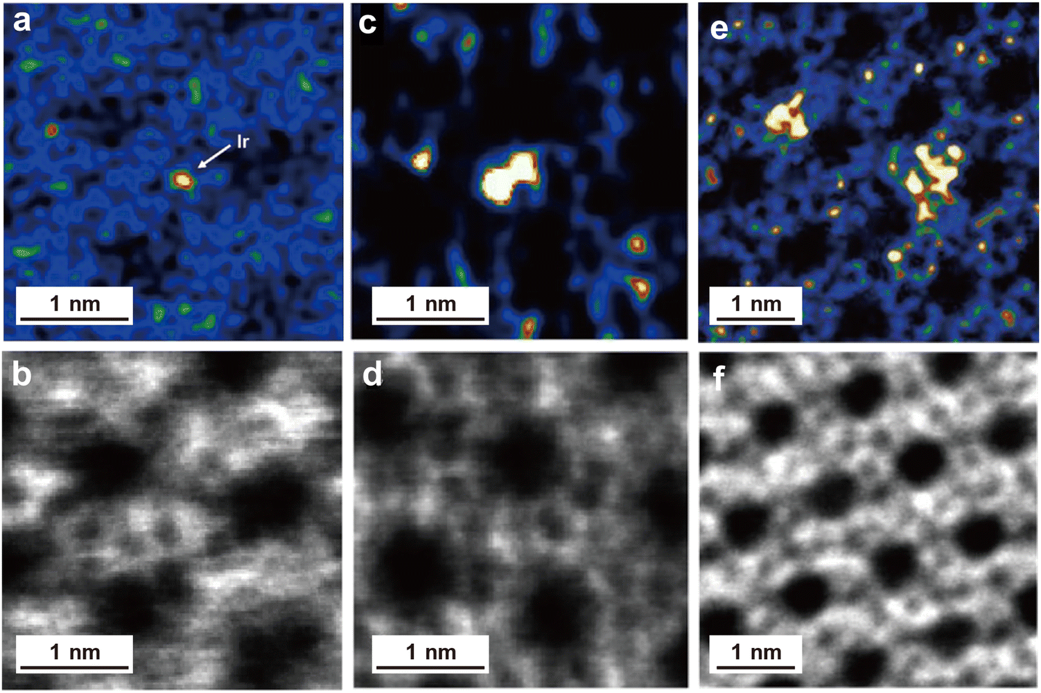 Exploring guest species in zeolites using transmission electron