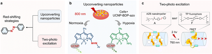 image file: d5cs00334b-f12.tif