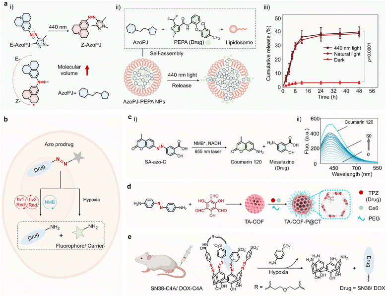 image file: d5cs00334b-f14.tif