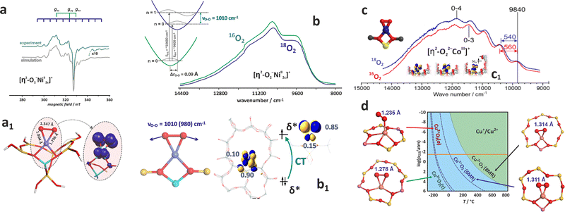 image file: d5cs00346f-f29.tif