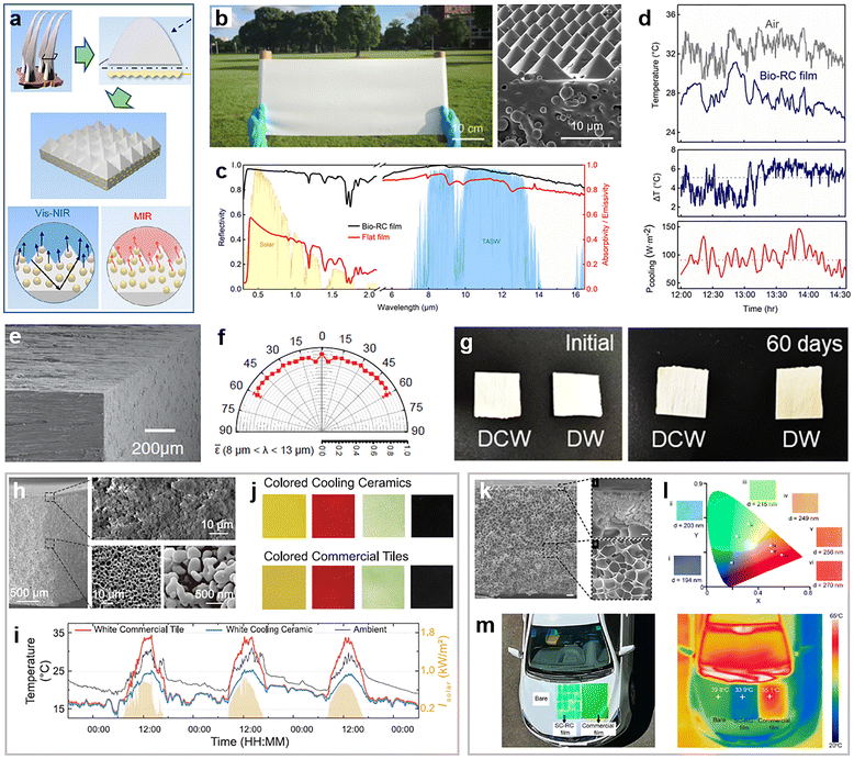 image file: d5cs00471c-f11.tif