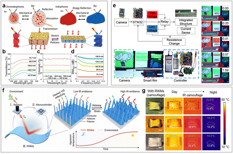 image file: d5cs00471c-f15.tif