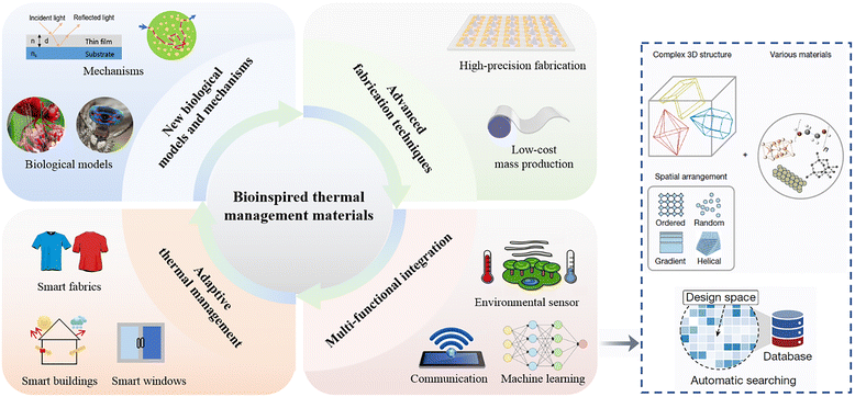 image file: d5cs00471c-f16.tif