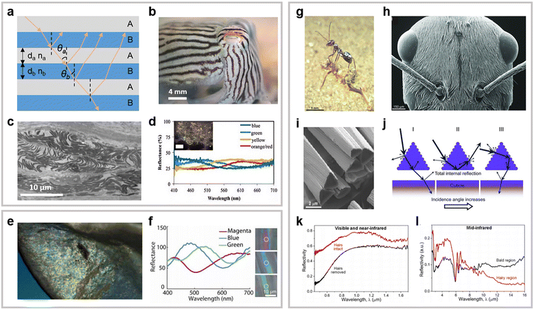 image file: d5cs00471c-f3.tif