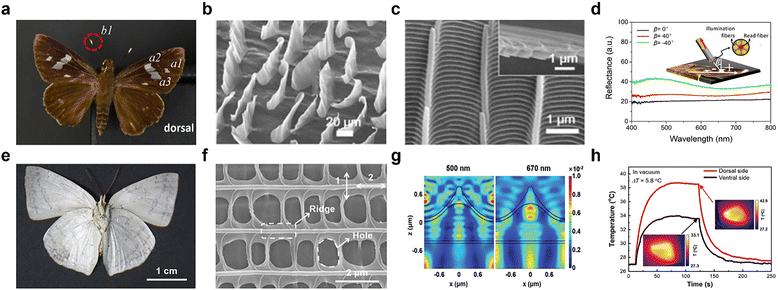 image file: d5cs00471c-f5.tif