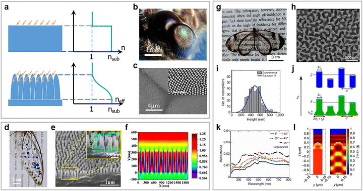 image file: d5cs00471c-f6.tif