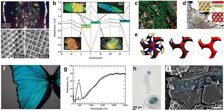 image file: d5cs00471c-f8.tif
