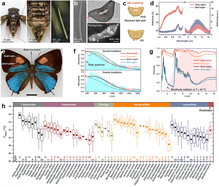 image file: d5cs00471c-f9.tif