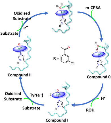 Mechanism of oxidative stress and neurotoxicity associated with