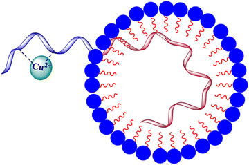 Mechanism of oxidative stress and neurotoxicity associated with