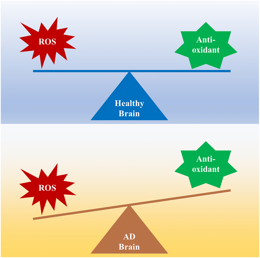 Mechanism of oxidative stress and neurotoxicity associated with